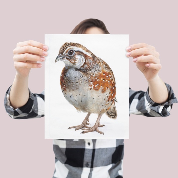 Watercolor Quail Wall Art Print, Unframed - Vibrant Nature-Inspired Home Decor - Picture 4 of 6